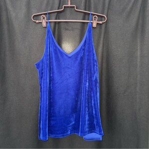 Blue Velvet Women's Top